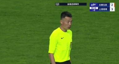 VAR技术成教练心头病